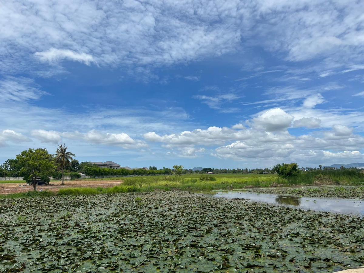 On Green Resort Ban Huai Sua Exterior photo