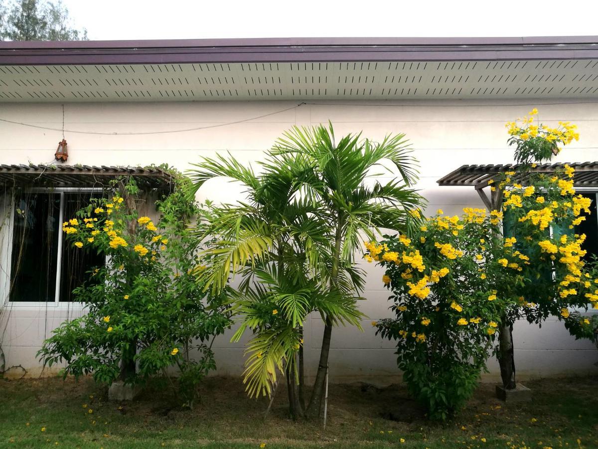 On Green Resort Ban Huai Sua Exterior photo