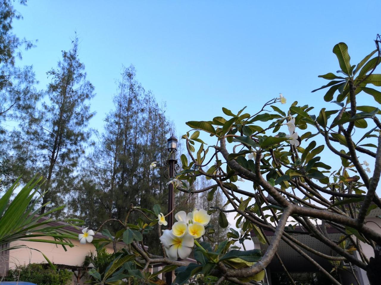 On Green Resort Ban Huai Sua Exterior photo
